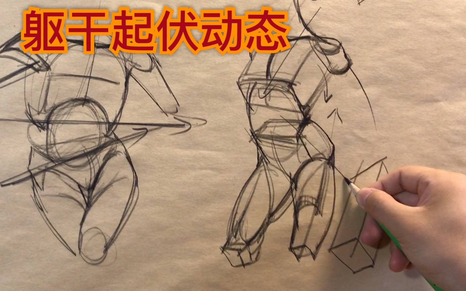 速写.伯里曼145-157-躯干体块-起伏拐点-倾斜动态