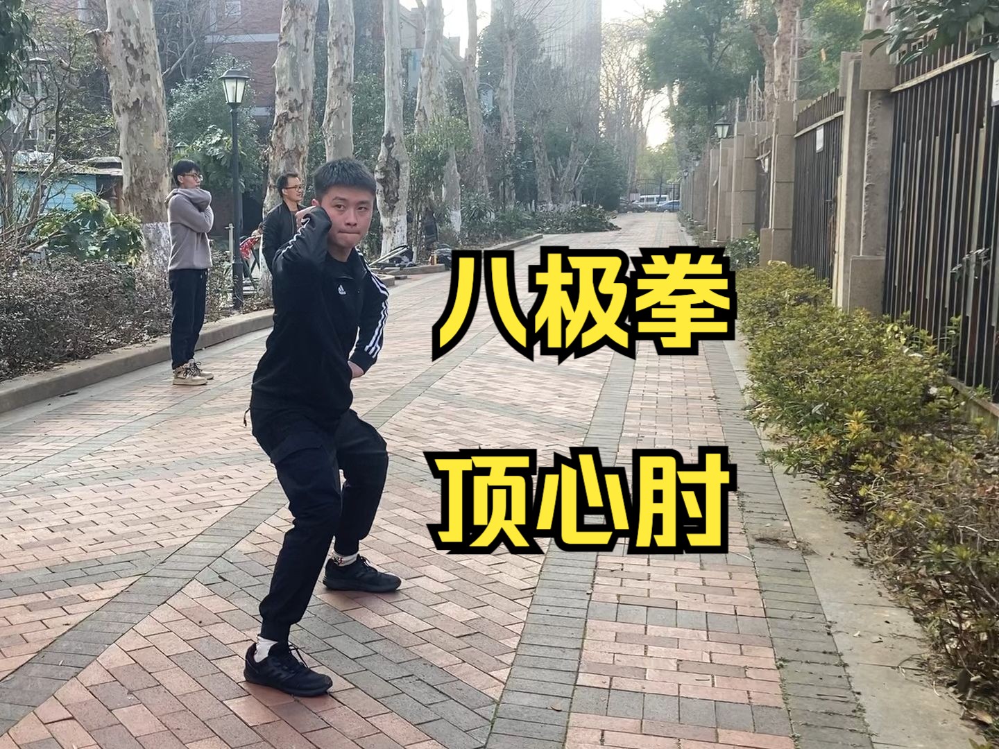 韩定江老师学生高英玮 八极拳顶心肘 【武汉八极拳馆】