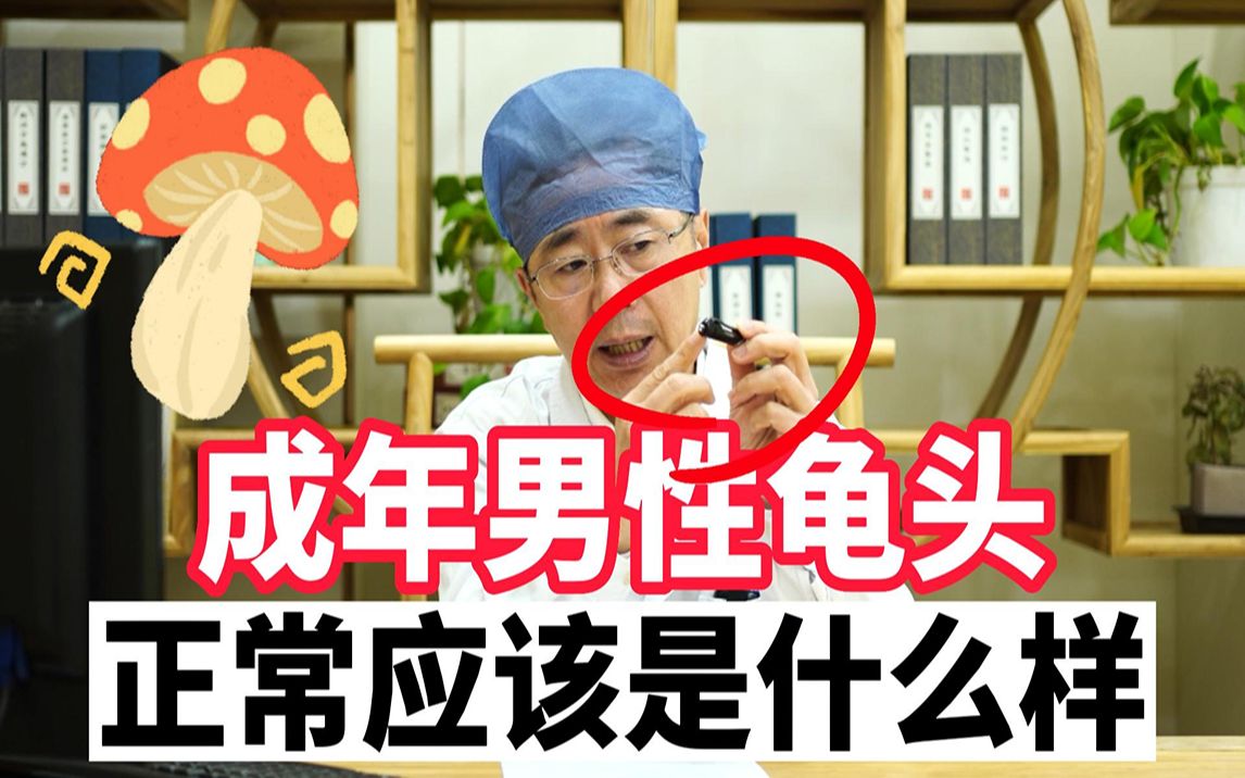 男人龟头正常应该是什么形状?哔哩哔哩bilibili