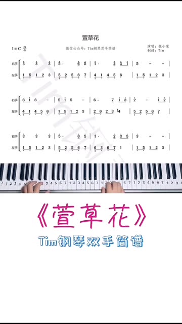 《萱草花》钢琴简谱
