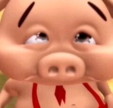 小呆呆被黑哭了