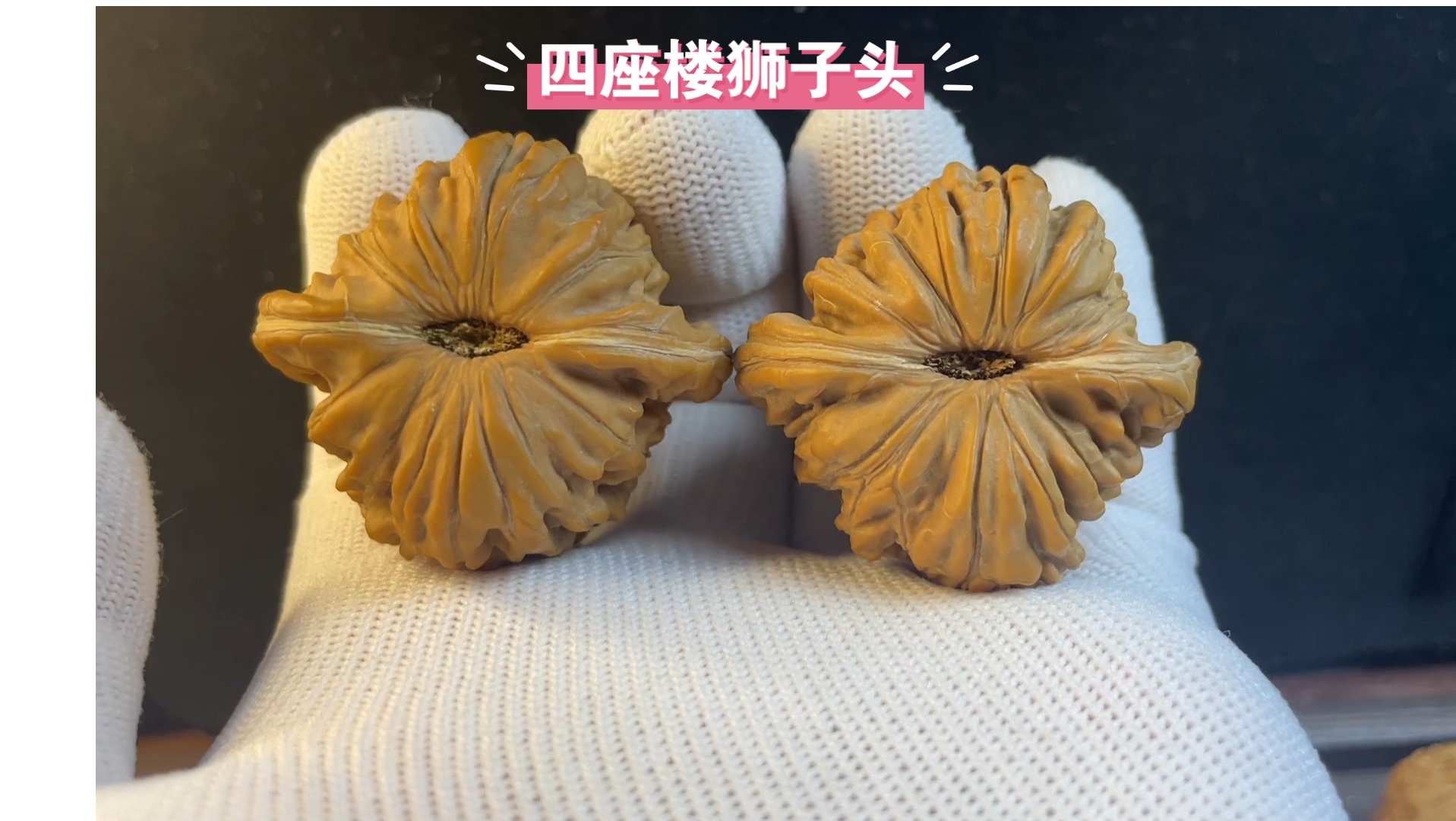 核桃大发现手套探索记,全品平谷四座楼狮子头,41×39×35mm左右,皮质