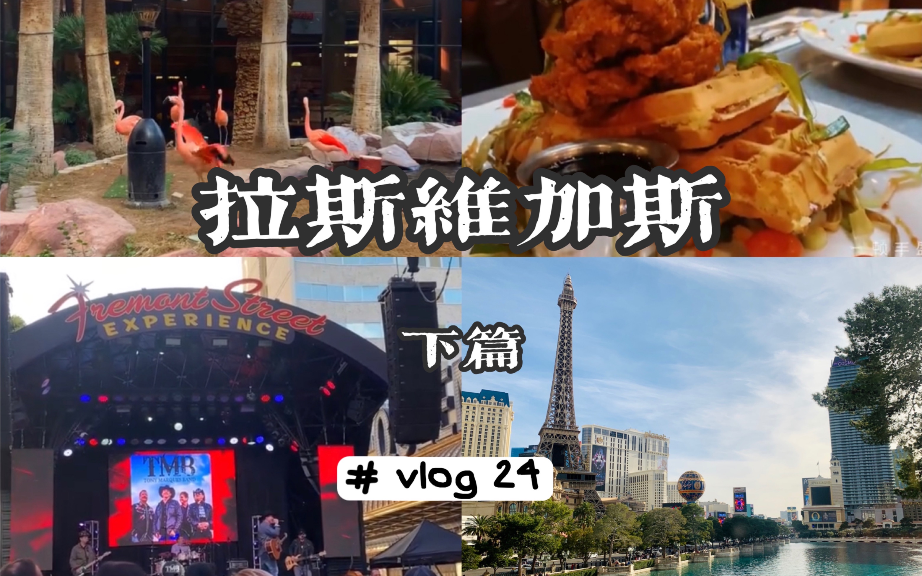 【vlog24】美国游ⷦ‹‰斯维加斯 下篇火烈鸟酒店/巴黎酒店/凯撒宫/百乐宫/永利酒店/梦之秀/IN N OUT/弗里蒙特街/吃吃吃哔哩哔哩bilibili