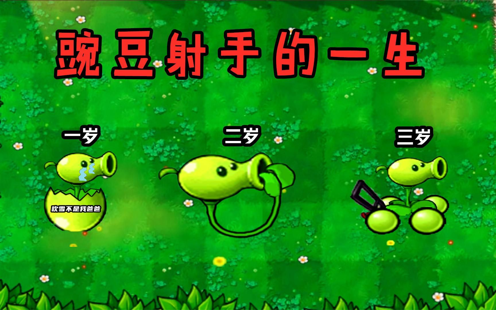 PVZ:一个豌豆射手的一生,幼年时也爱看小猪佩奇?植物大战僵尸游戏杂谈