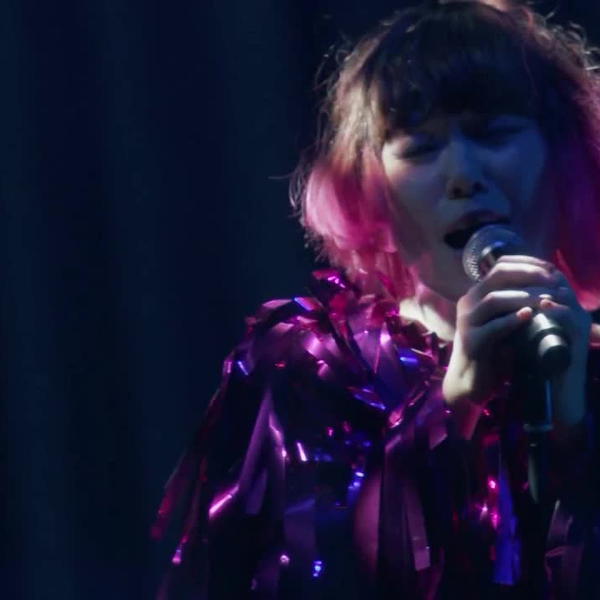 2016.11.27 EGO-WRAPPIN 武道館 ペアチケット 2枚 エゴラッピン