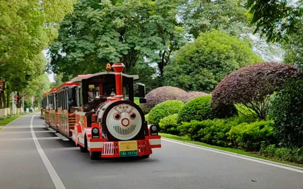 活动  橘子洲观光小火车