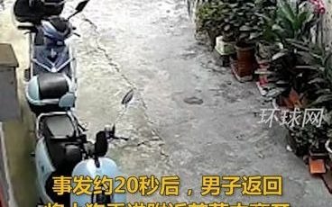 佛山一男子暴力摔狗后又三次返回藏匿尸体,街道办:警方已经介入处理哔哩哔哩bilibili