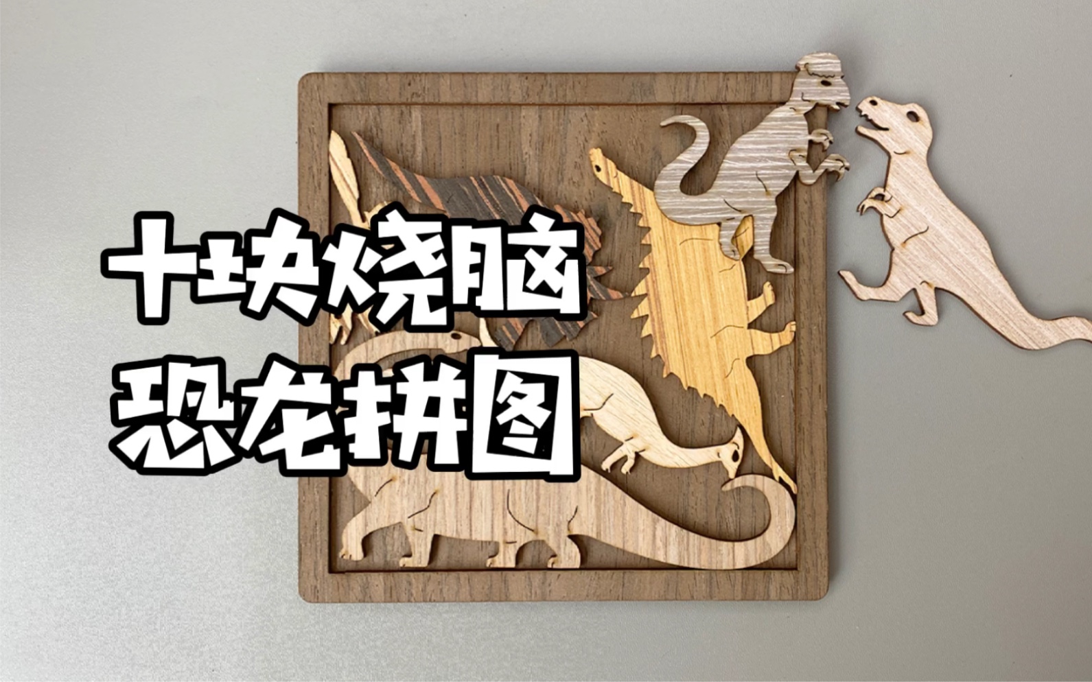 烧脑拼图十只恐龙各归其位