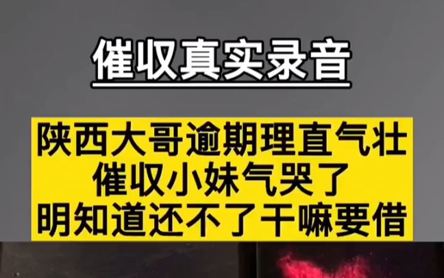 陕西大哥逾期理直气壮,催收小妹气哭了,明知道还不了干嘛要借!哔哩哔哩bilibili