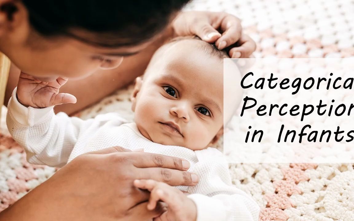 Categorical Perception in Infants 儿童范畴感知哔哩哔哩bilibili