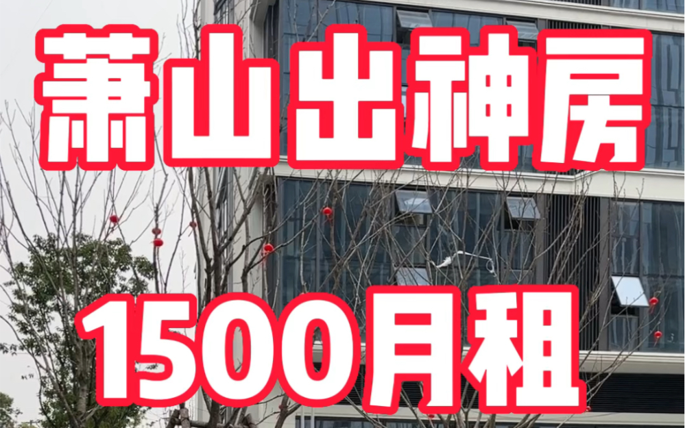 萧山出神房了 1500月租 一室带厅 靠近民用水电 可月付 押一付一萧山租房性价比之王哔哩哔哩bilibili