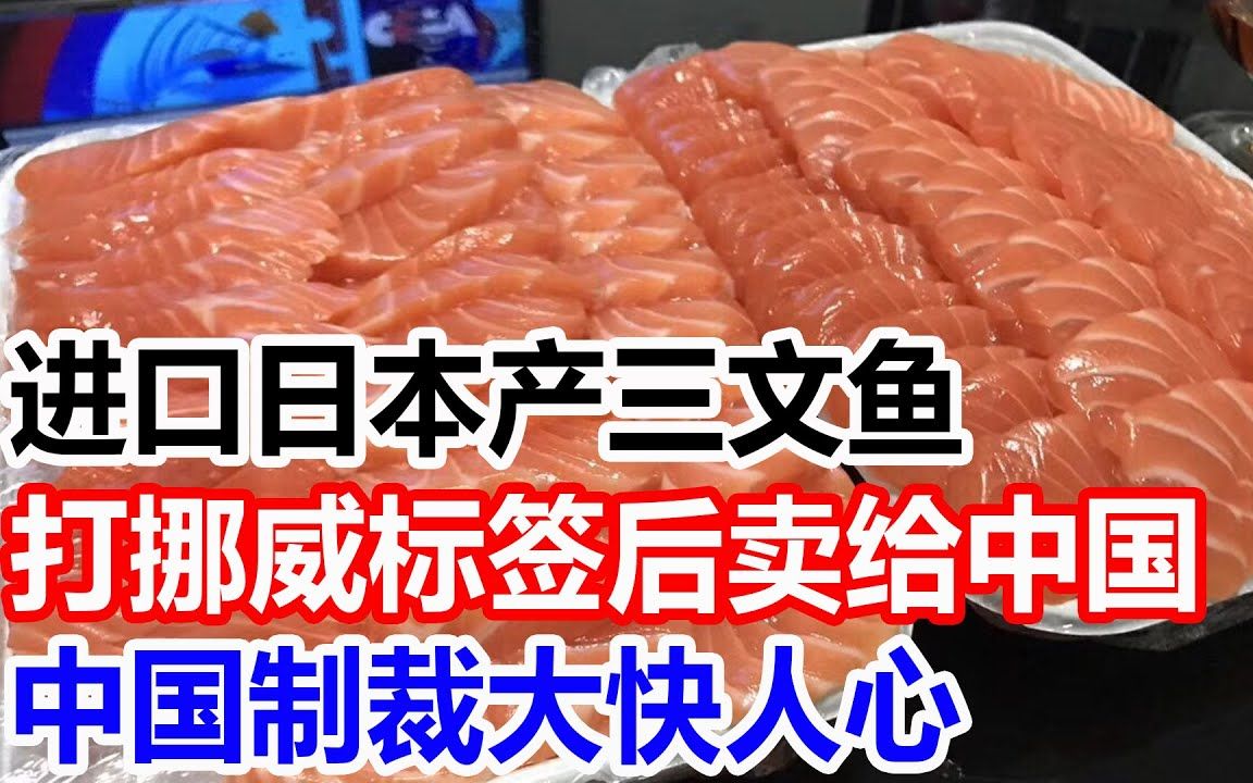 进口日本产三文鱼,打上挪威标签后卖给中国,中国制裁大快人心!哔哩哔哩bilibili