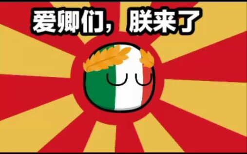 波兰球们被做成了表情包,太搞笑了(3)