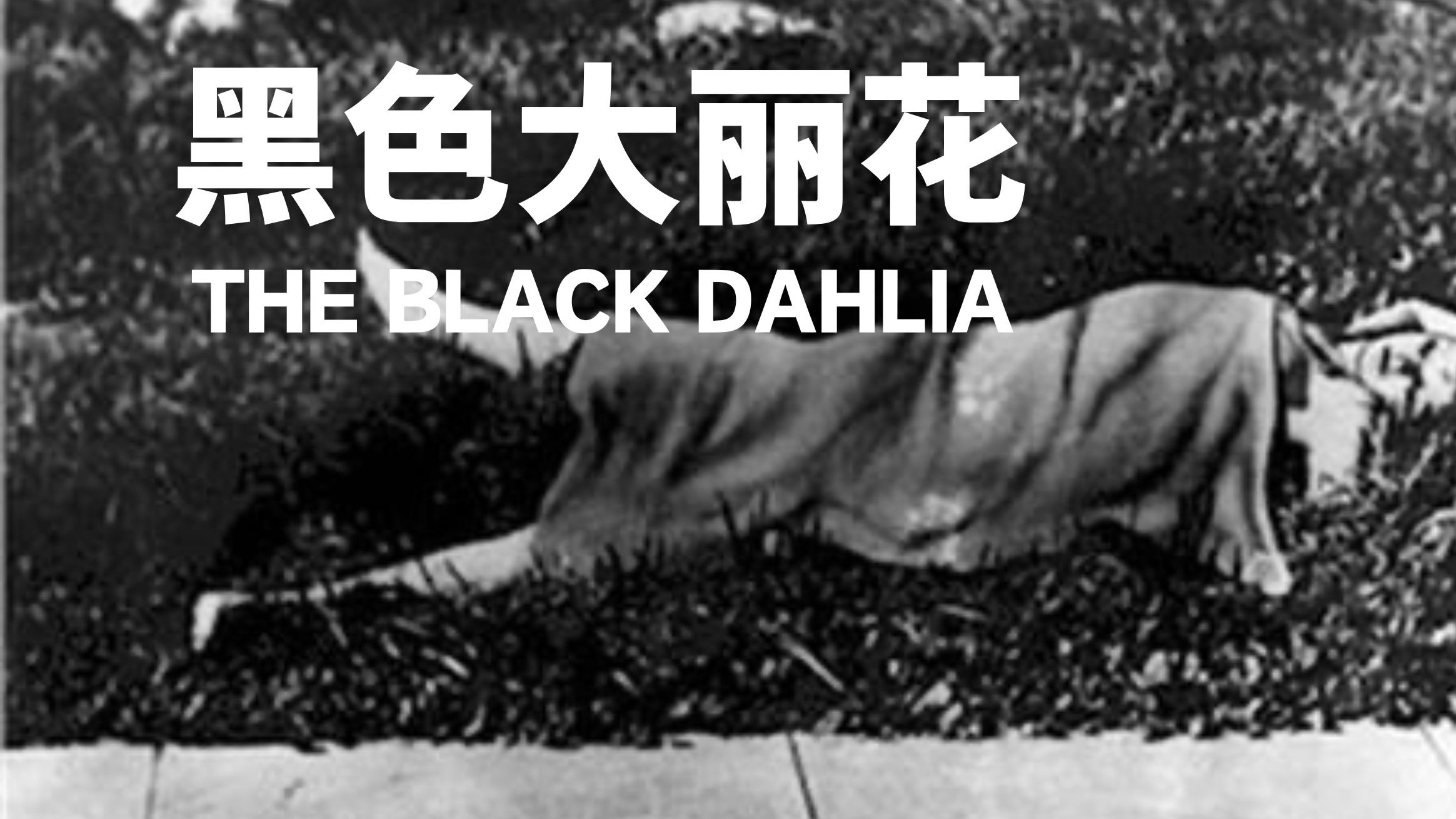 完美分尸,小丑笑容:黑色大丽花案,为何70年无法告破?