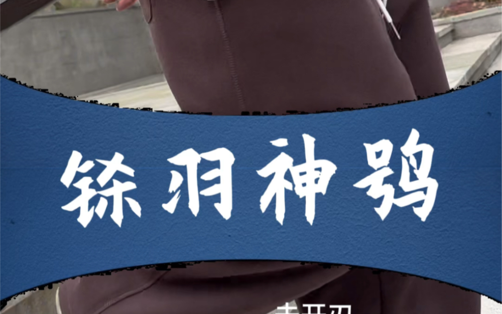 钛合金不开刃训练剑