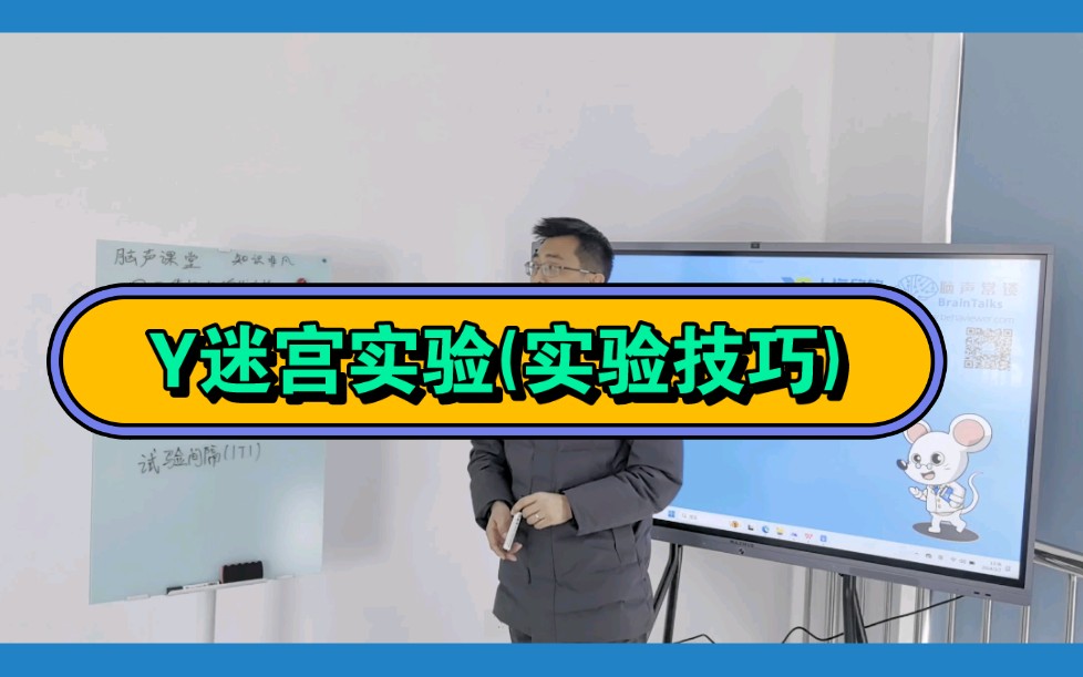 Y迷宫实验测试工作记忆与参考记忆,方法有什么不同?哔哩哔哩bilibili