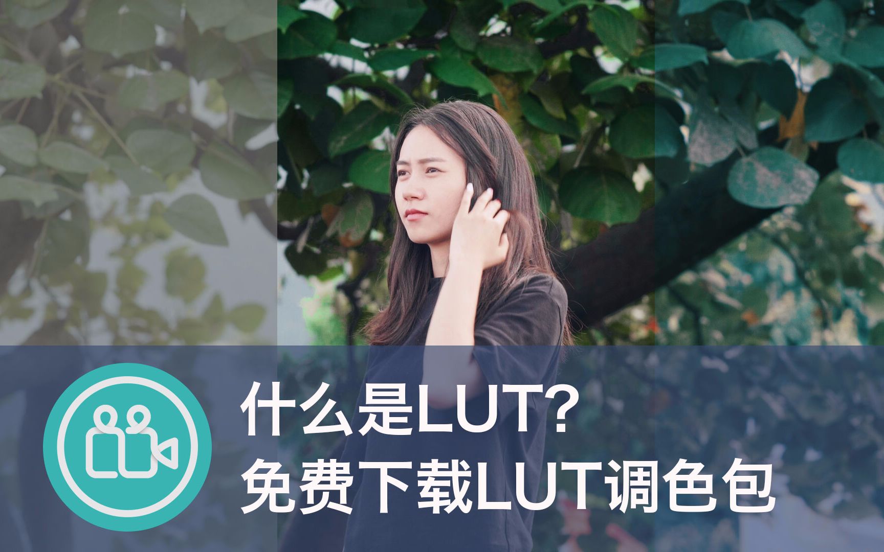 【视频大拍档】什么是LUT?免费下载LUT调色包哔哩哔哩bilibili