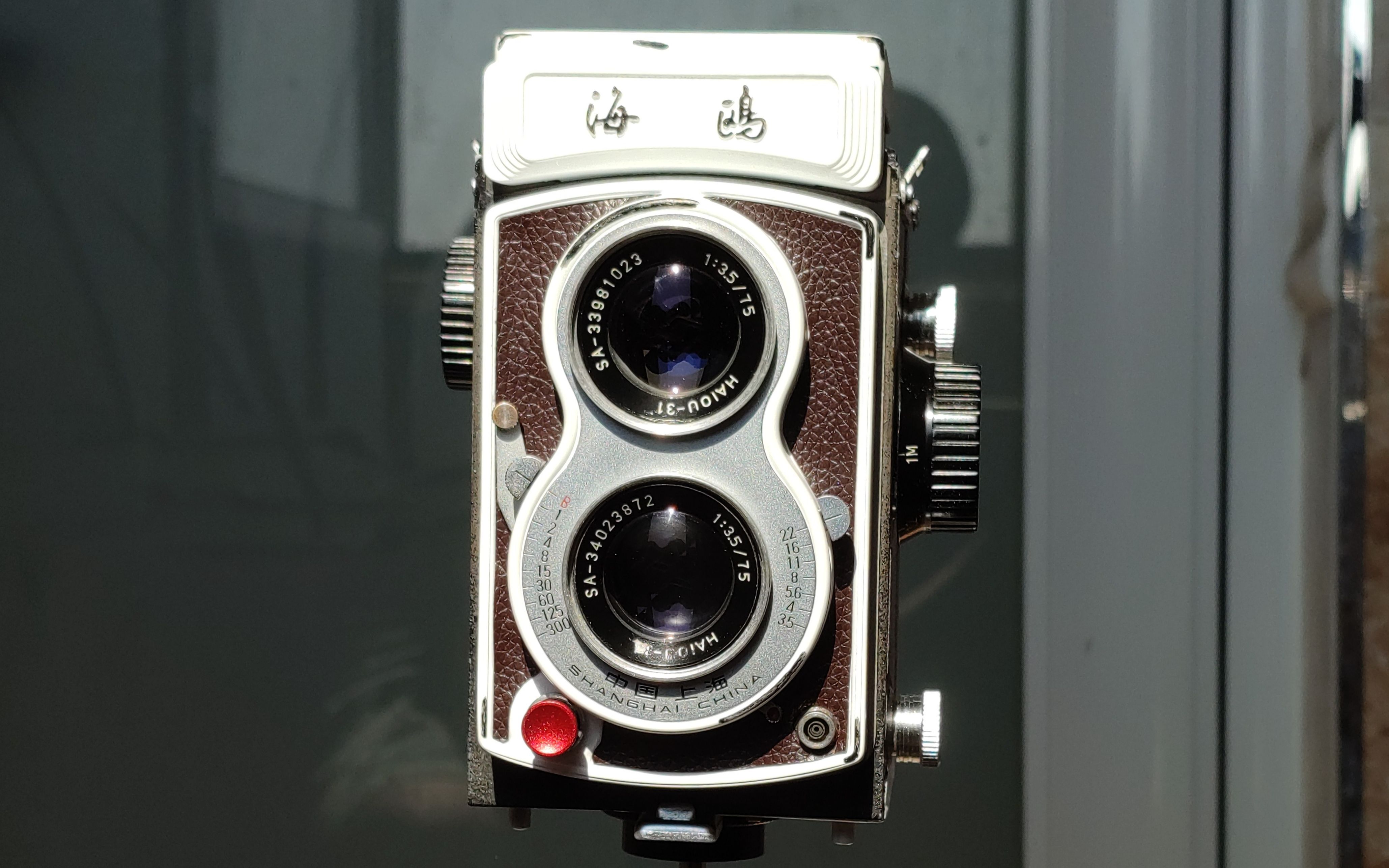 海鸥4b改色白海雕