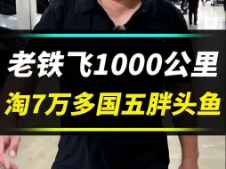 Télécharger la video: 高配胖头鱼，7万多？这车值得买吗？