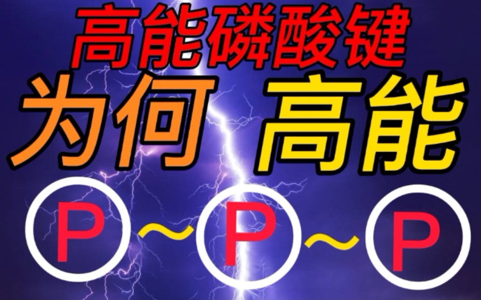 〔科普〕前方高能!高能磷酸键「高能」原理揭秘哔哩哔哩bilibili