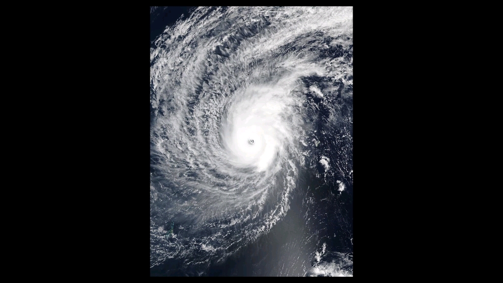 活动作品回顾台风蝴蝶