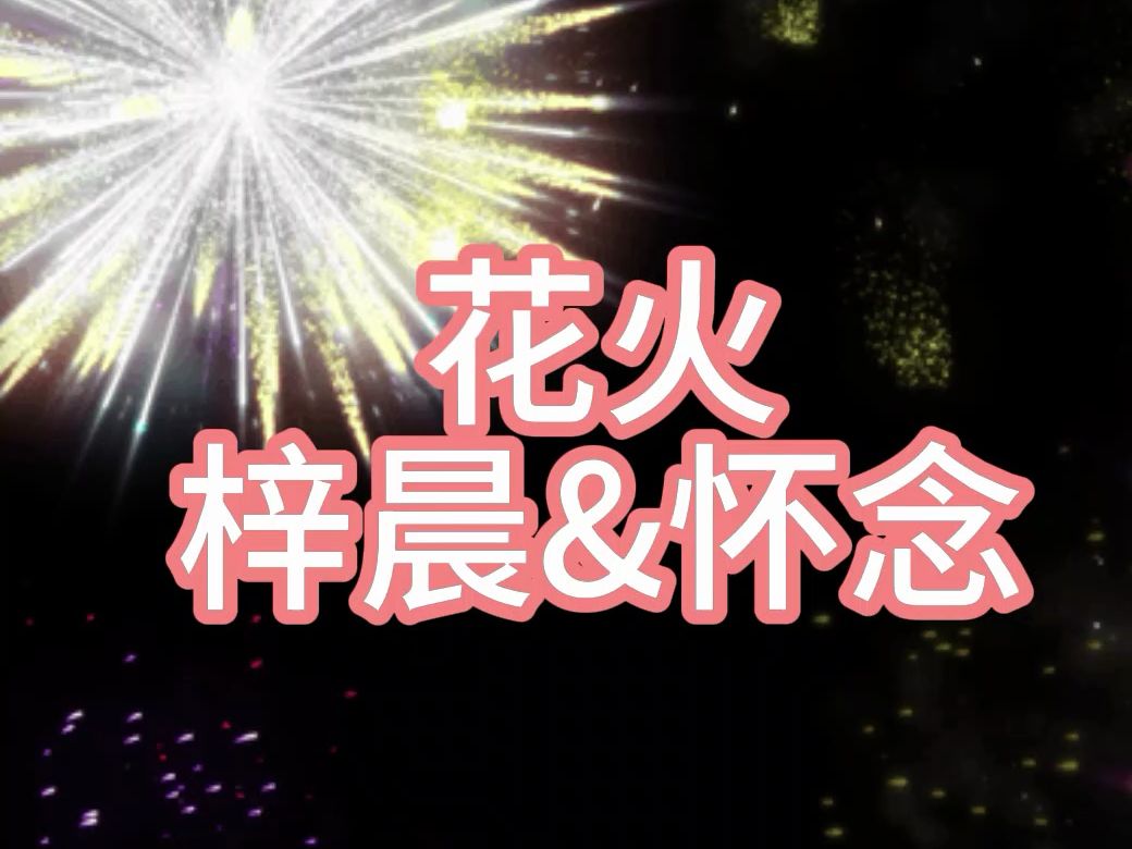 【梓晨&怀念】74花火74夏花火 それとも 恋の炎でしょうか?