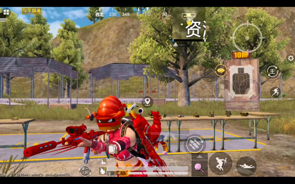 mini龙虾霸霸训练场展示_哔哩哔哩 (゜-゜)つロ 干杯~-bilibili