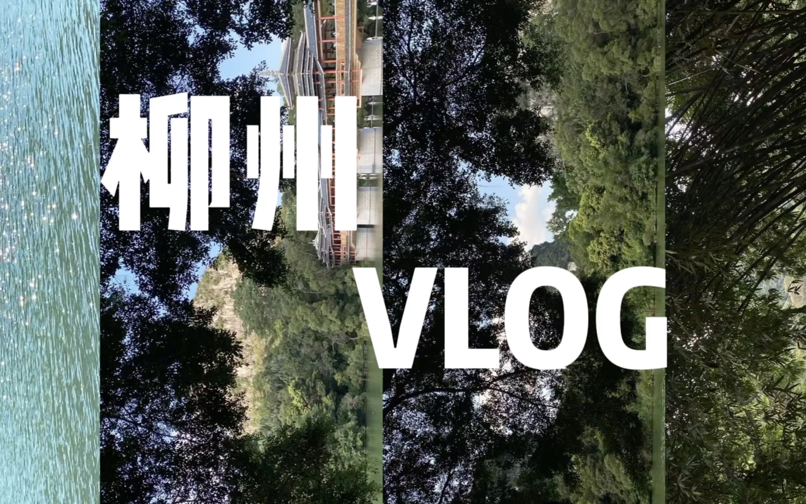 植发vlog记录(我的真实的植发经历文字)