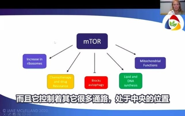 如何饿死癌症第二十九课——控制位于代谢核心地位的mTOR通路哔哩哔哩bilibili