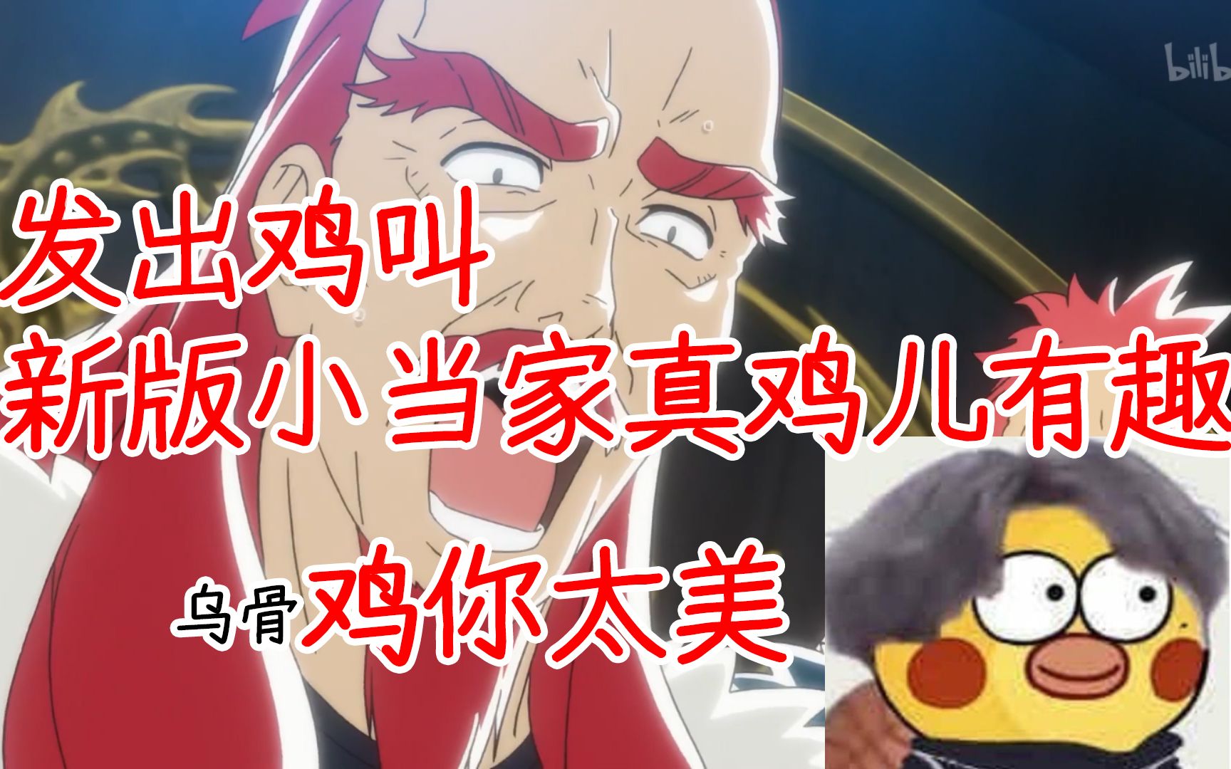 发出鸡叫新版小当家真鸡儿有趣乌骨鸡你太美