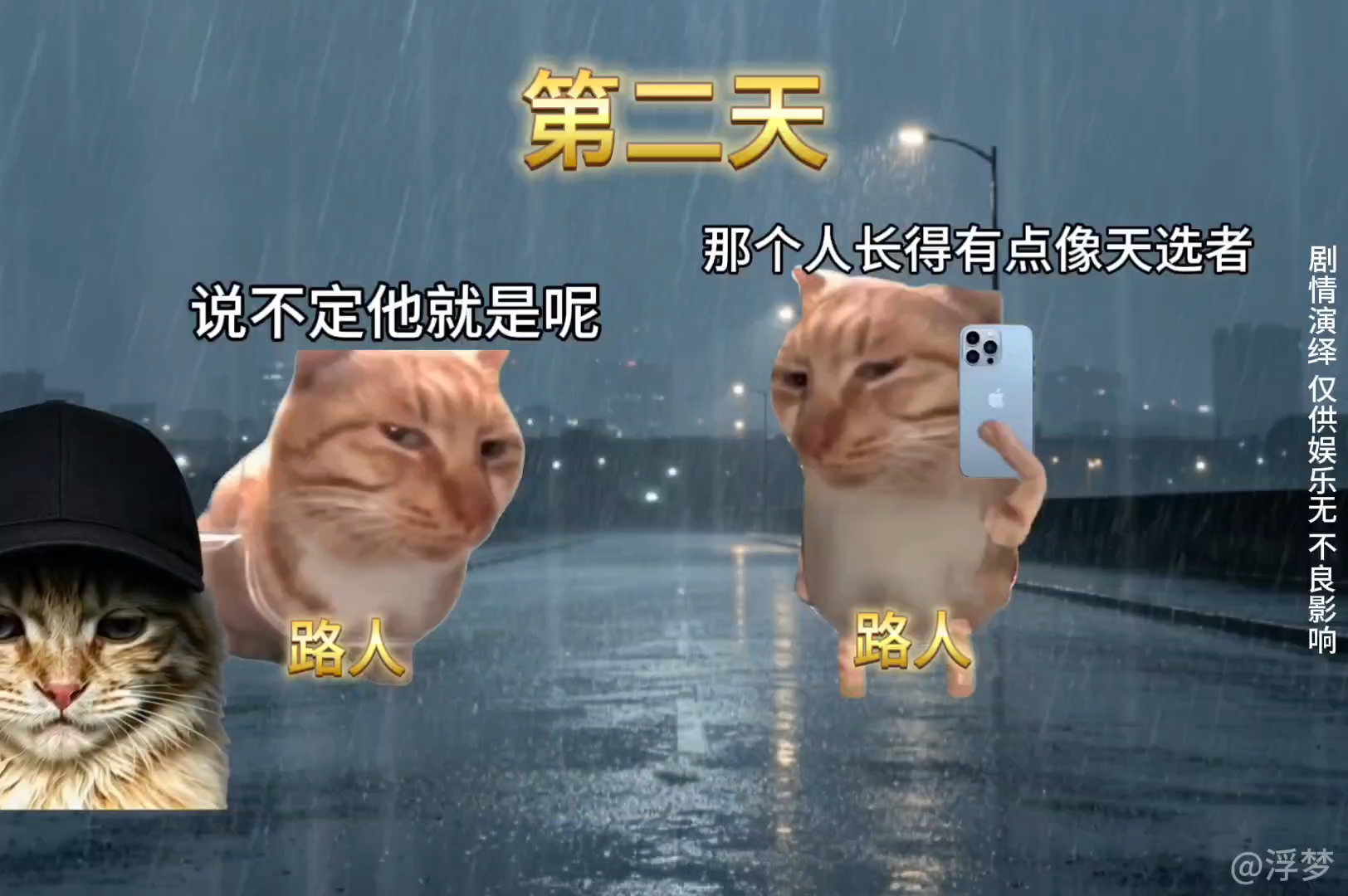 “当全世界都知道你10天后获得元婴修为（2）” #十日元婴 #脑洞爽文 #逃亡剧情 #猫meme
