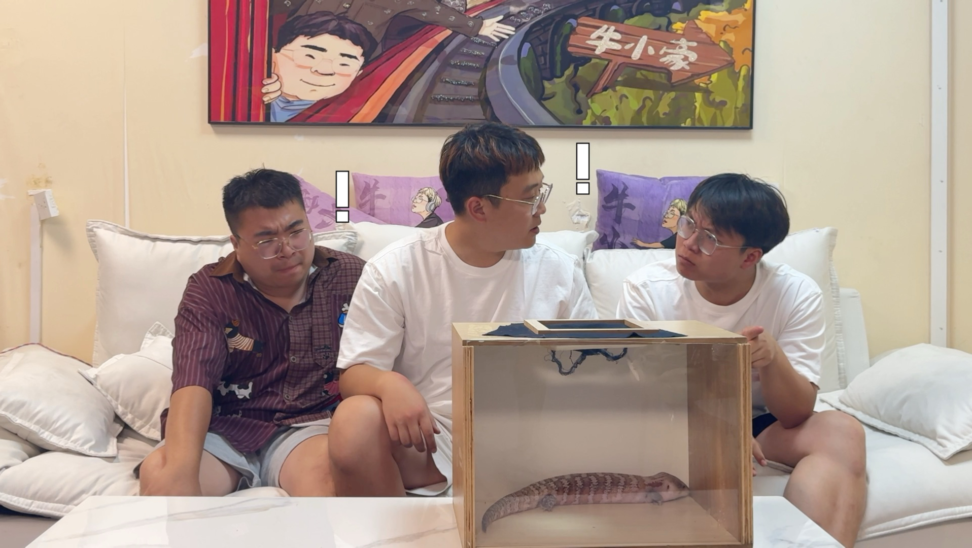 哈哈哈哈哈摸箱猜物