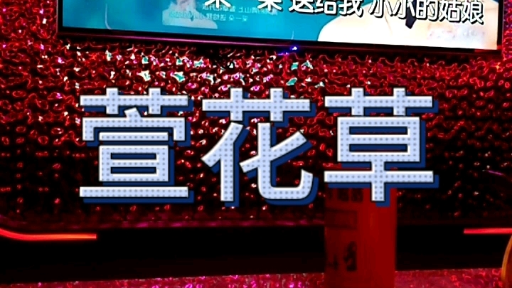 萱花草单依纯哔哩哔哩bilibili