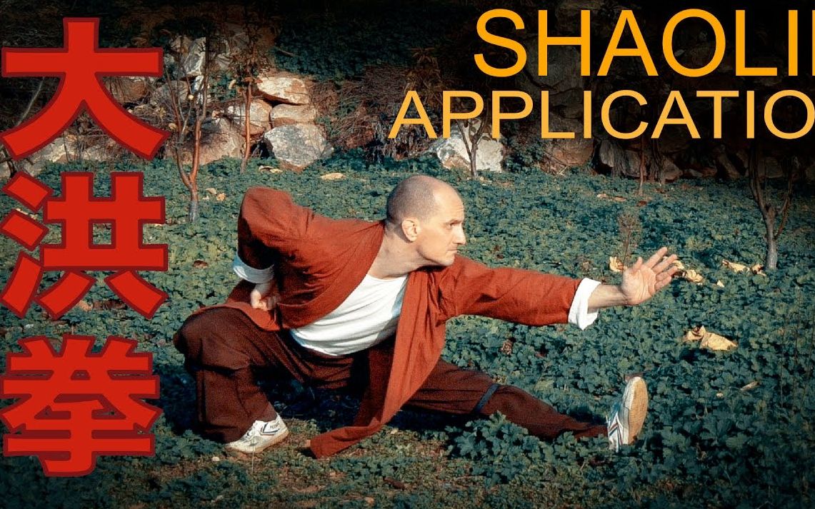 【少林拳】大洪拳实战运用丨拆招详解