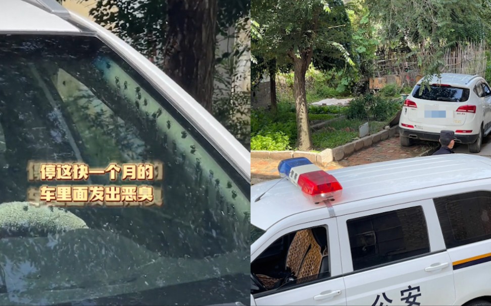 [图]小车停放一月车内布满绿头苍蝇，散发恶臭，男子报警打开后备箱惊呆众人