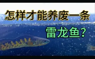 Download Video: 怎样才能养废一条雷龙鱼？我踩的坑希望你别踩。