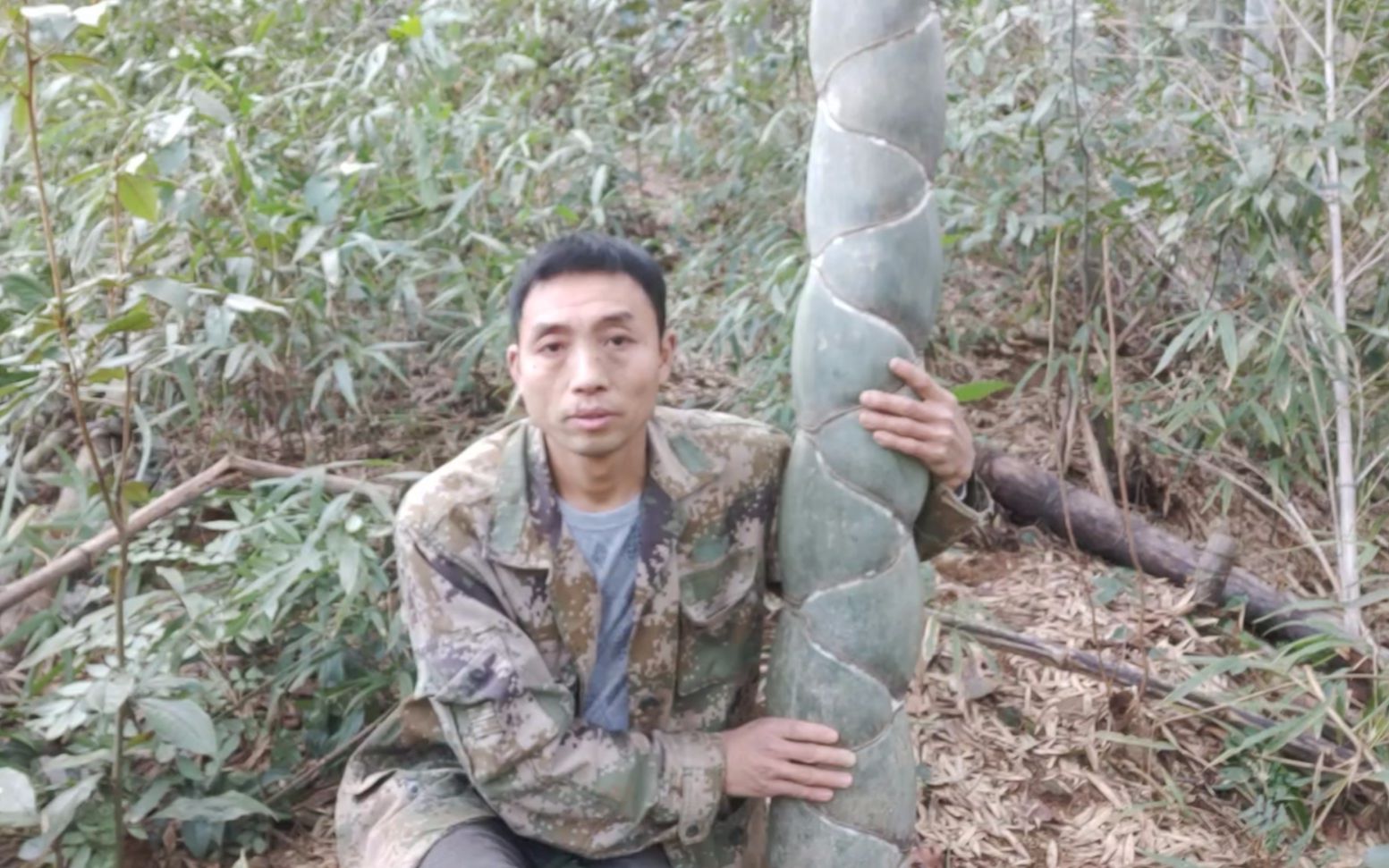 大叔去山里挖冬笋,遇到罕见的龟甲竹,听说很值钱,一起来看看吧哔哩哔哩bilibili