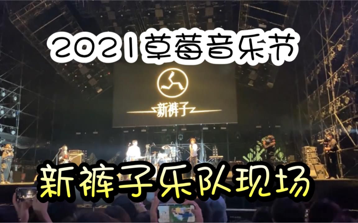 【2021草莓音乐节】新裤子乐队现场,三首经典歌曲放送!!哔哩哔哩bilibili