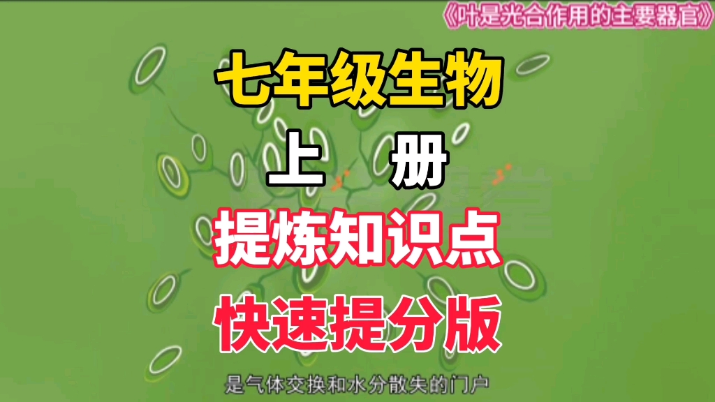 七年级上册生物《叶是光合作用的主要器官》北京版,期末复习,生物逆袭,提炼重点、难点、知识点,快速提分哔哩哔哩bilibili