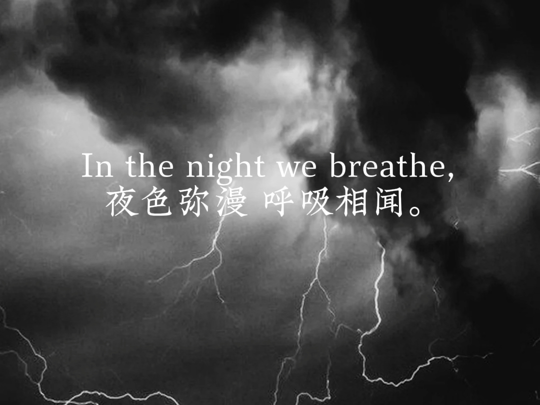 [图]音乐分享/Moonlit Dream/置身于烟雾缭绕的树林之中