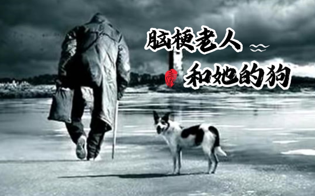 脑梗老人和猛犬的故事.哔哩哔哩bilibili