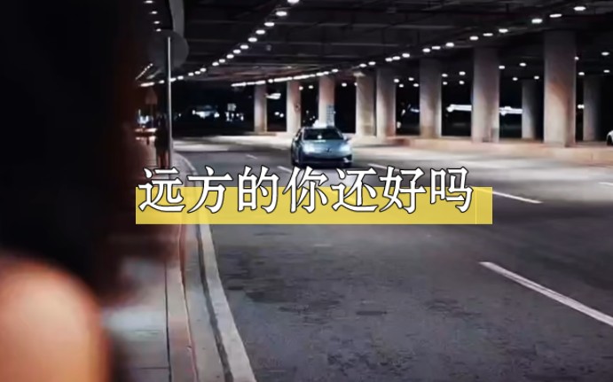 [图]远方的你还好吗（关丽群演唱MV）