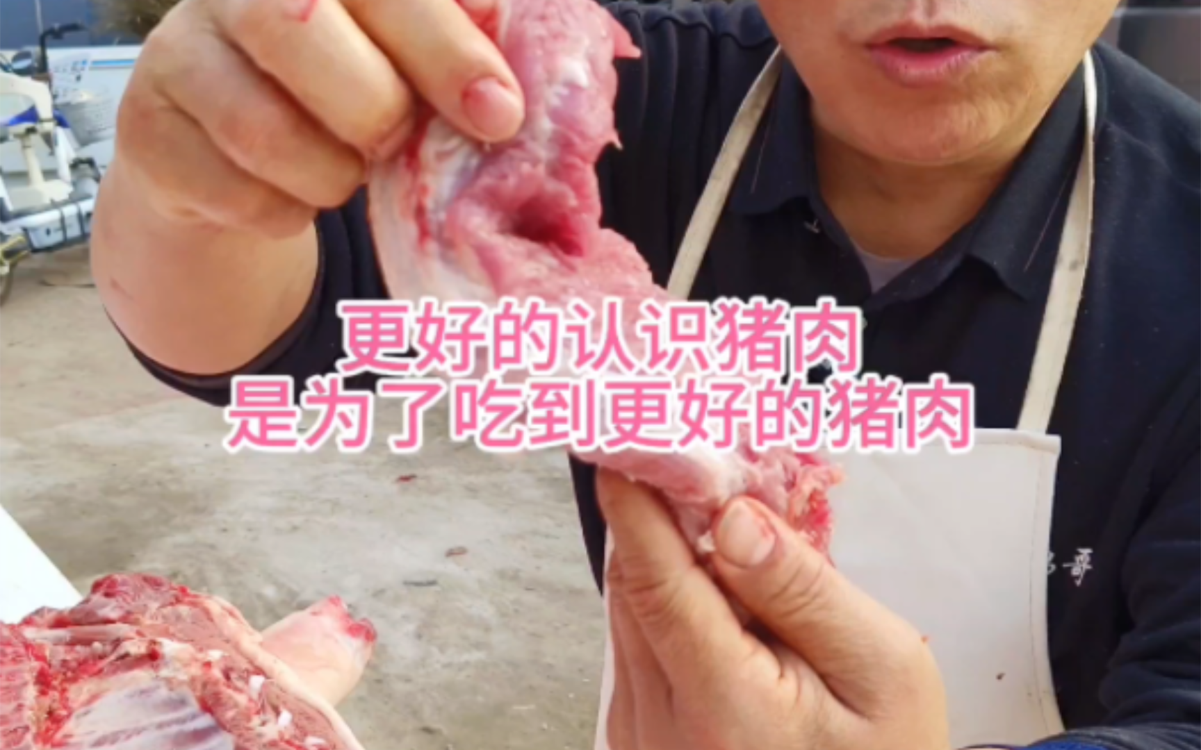 教你认识猪肉哔哩哔哩bilibili