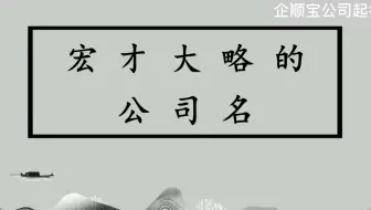 企顺宝公司起名,宏才大略的公司名