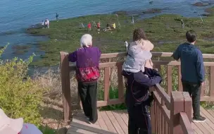 Скачать видео: 大连好多本地人都不知道的网红打卡地，