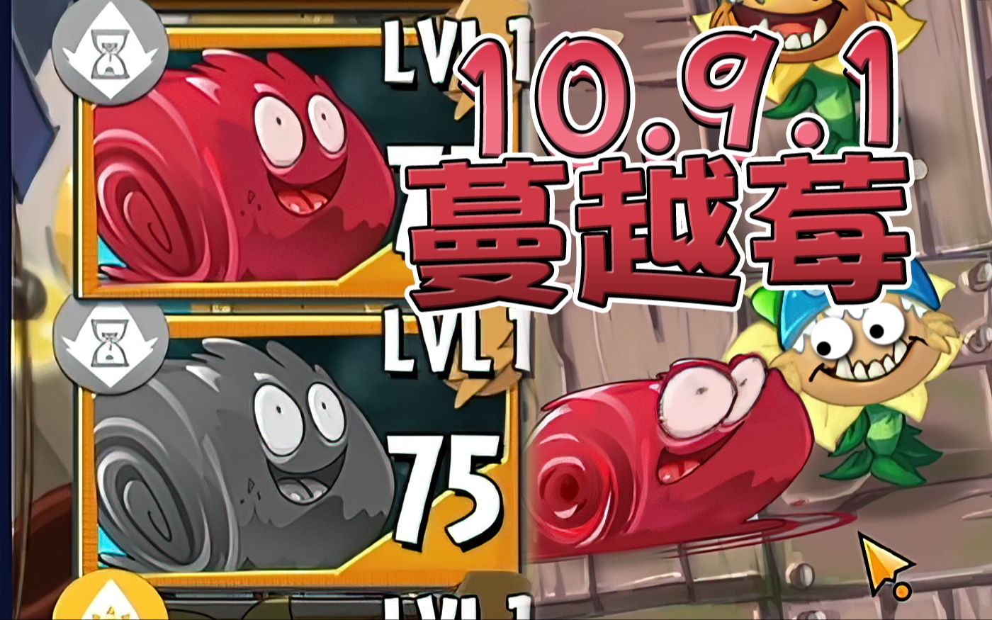 1新植物介绍-蔓越莓果冻cranjelly-淼淼真心不水-默认收藏夹-哔哩哔哩