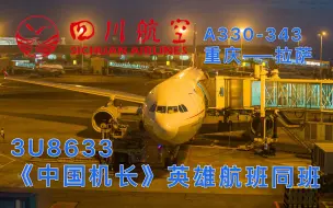 Download Video: 【Flight vlog12】我可能是坐了假的喂猪航｜3U8633四川航空英雄航班 A330-300 重庆—拉萨飞行体验