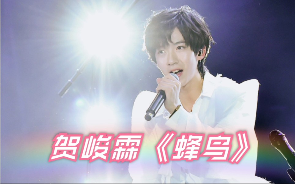【贺峻霖】cover《蜂鸟》伴奏