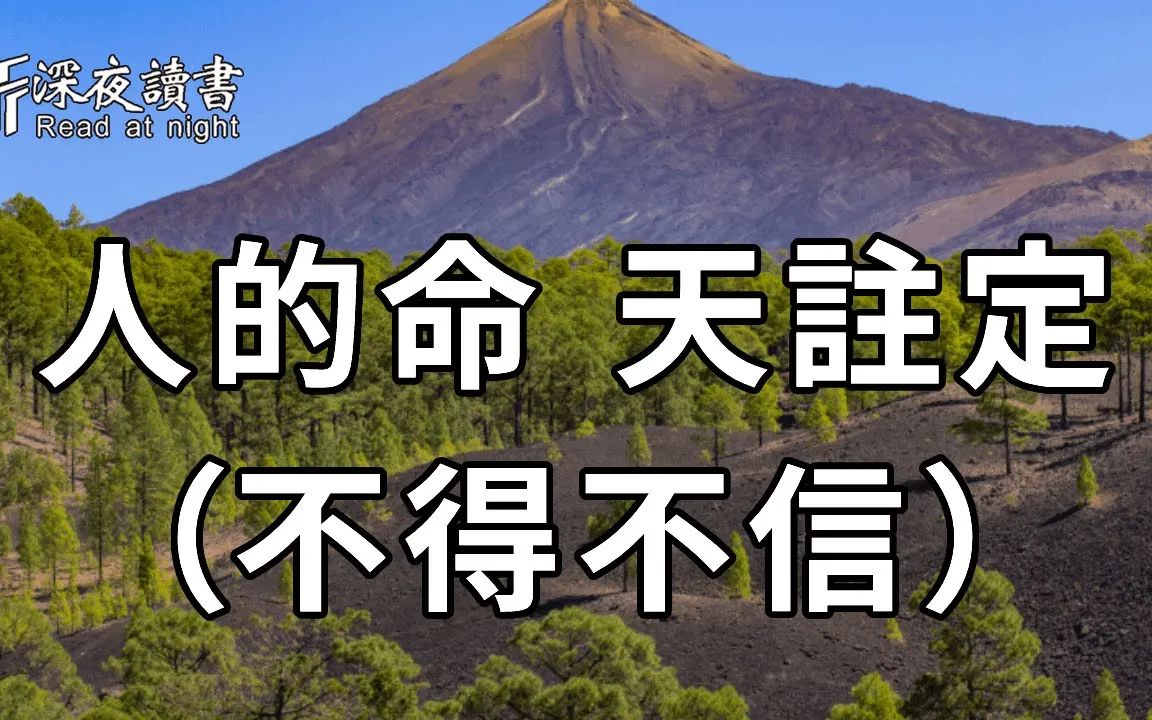 万事万物,冥冥之中自有安排,你不得不信【深夜读书】