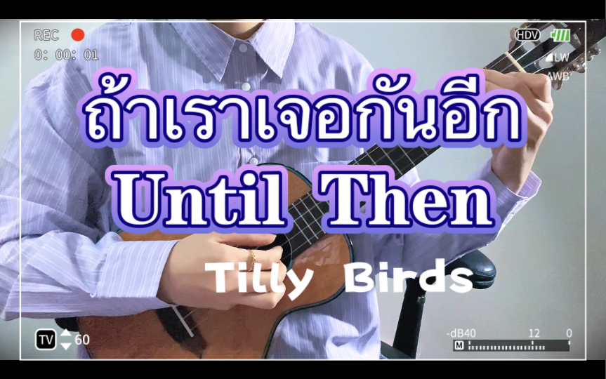 [图]【Tango的尤尤泰语歌50】《倘若我们再次相遇》（ถ้าเราเจอกันอีก/Until Then)|Tilly Birds